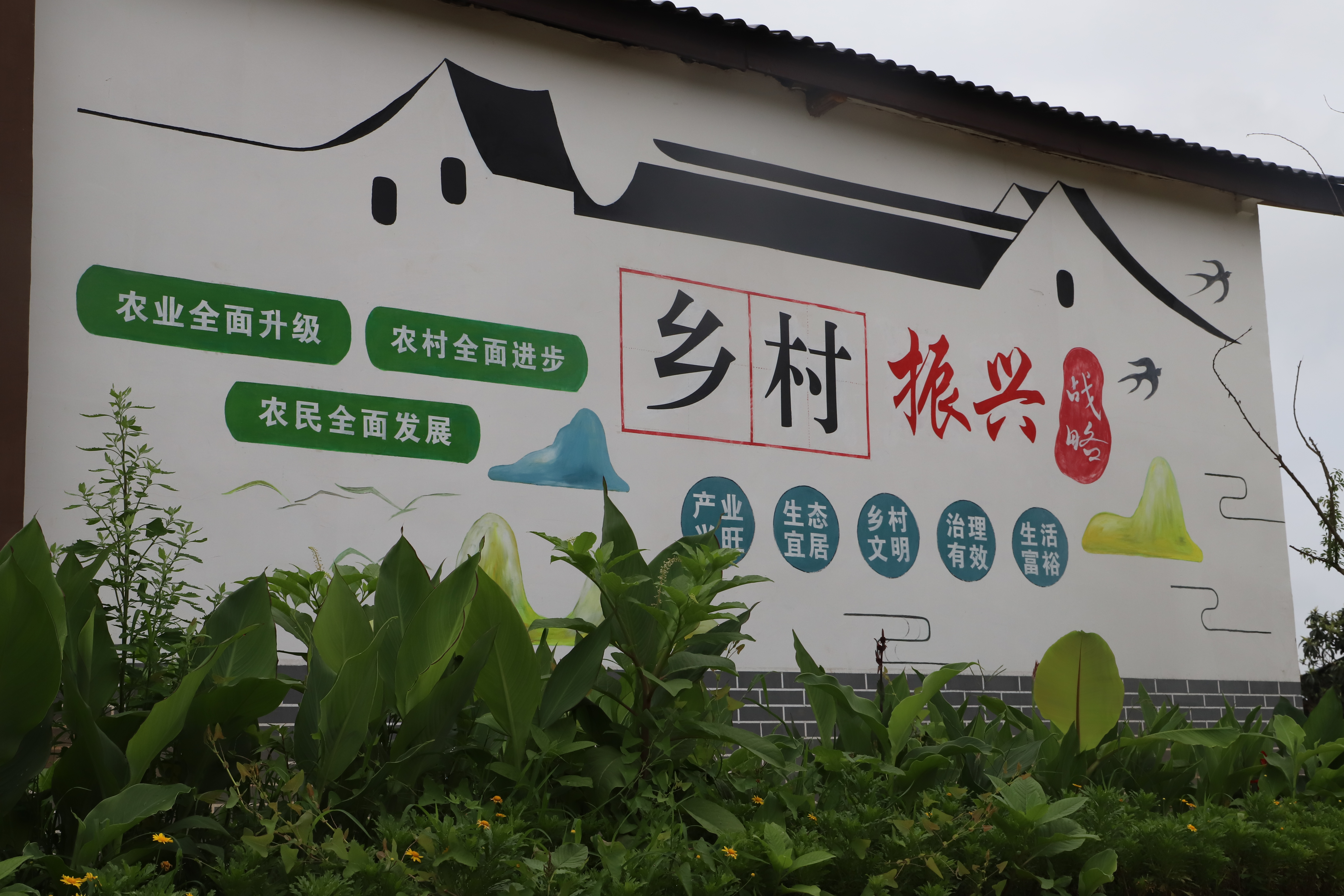 XjAZ_1657280821540002756.jpg XjAZ_1657280821540002756.jpg